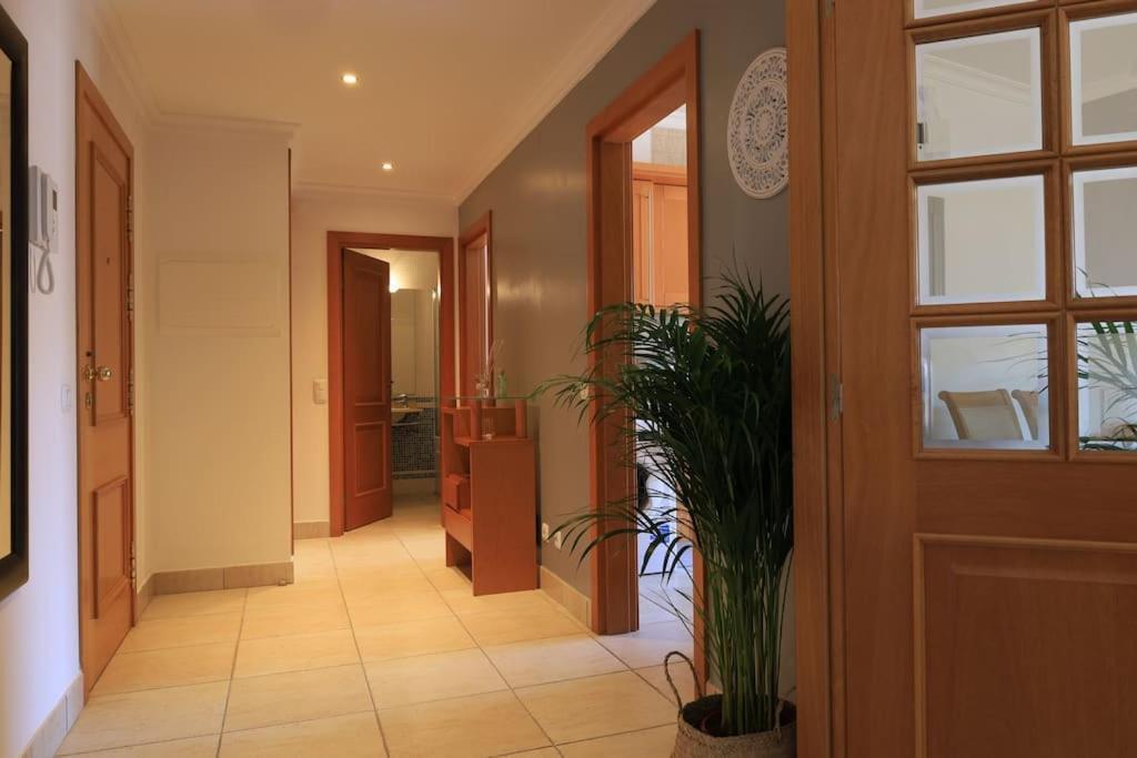 Beachfront Meia *